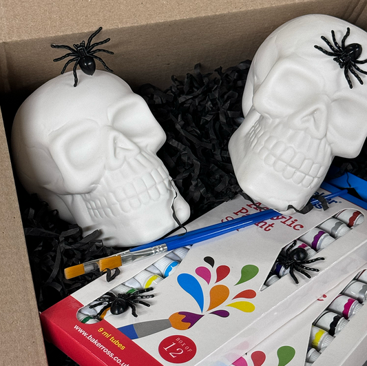 Twin Set Halloween Skull Paint Kit