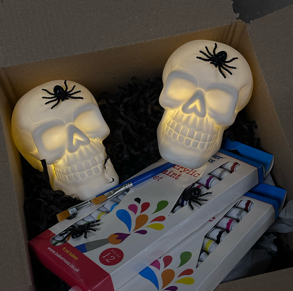 Twin Set Halloween Skull Paint Kit